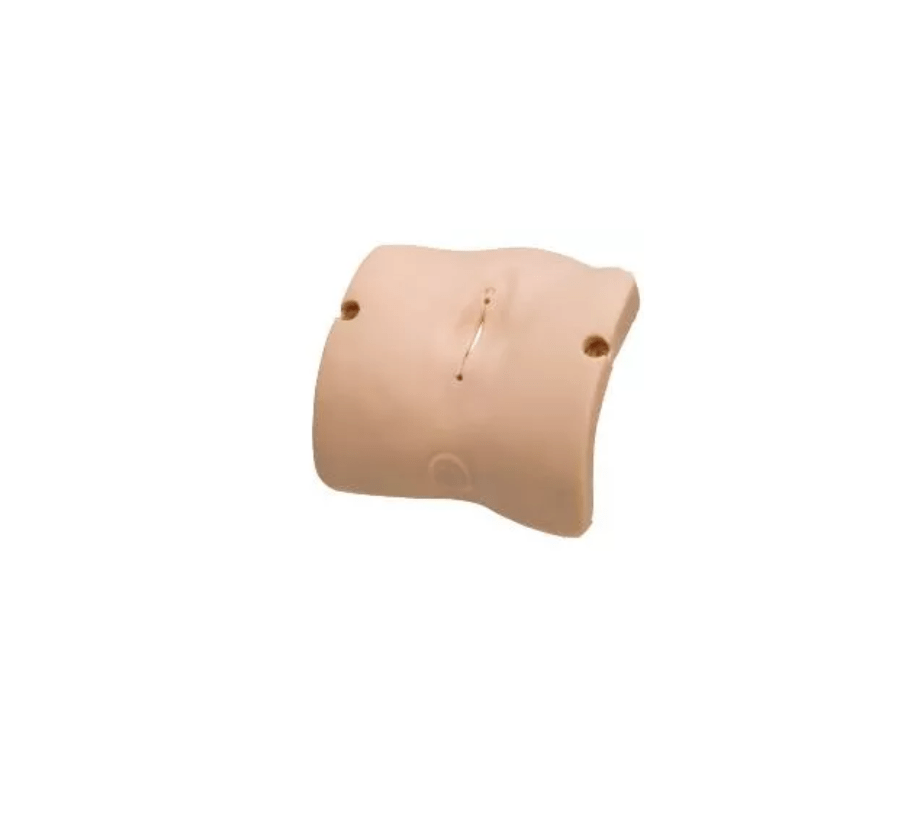 Multipara - Vulva für LM101B, LM101J oder LM101HV - Erler - Zimmer